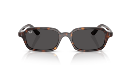 RAY-BAN RB4455 135987