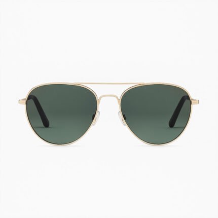 Lunettes de soleil  INVU B1912 C +étui