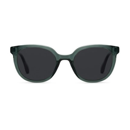 Lunettes de soleil   VANNI 8113 C6+étui