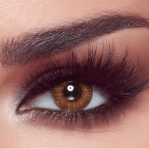 almond brown % Glasse.ma opticien