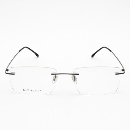 LINA ROMA OPTIQUE TITANIUM 1025 C3